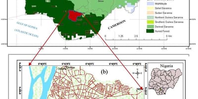 Mapa Nigerii, z podaniem pasów roślinności 