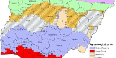 Rysowanie na mapie Nigerii, ze wskazaniem stref roślinności 