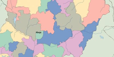 Mapa Nigerii wektor