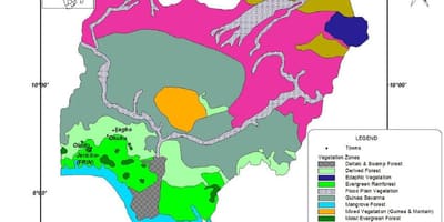 Mapa Nigerii, z podaniem roślinności
